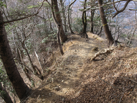 20190108hike (304)